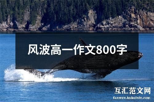**高一作文800字