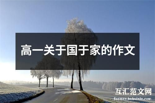 高一关于国于家的作文