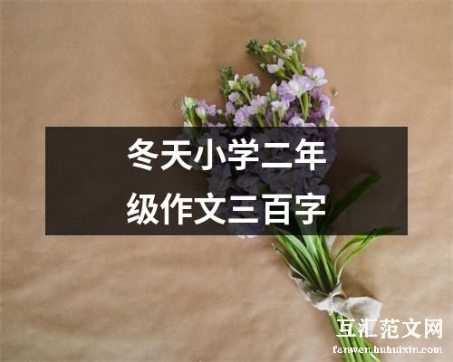 冬天小学二年级作文三百字