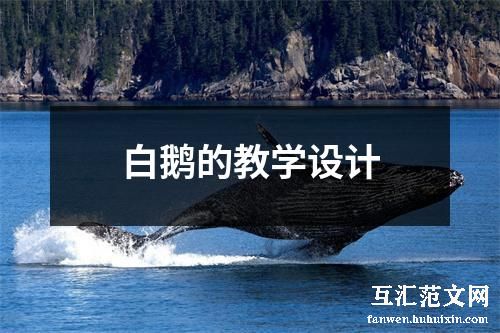 白鹅的教学设计