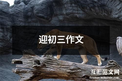 迎初三作文