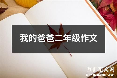我的爸爸二年级作文