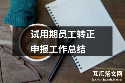 试用期员工转正申报工作总结