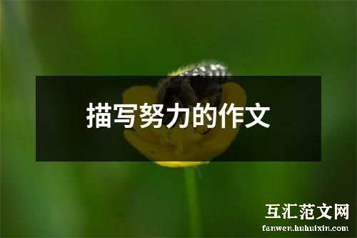 描写努力的作文