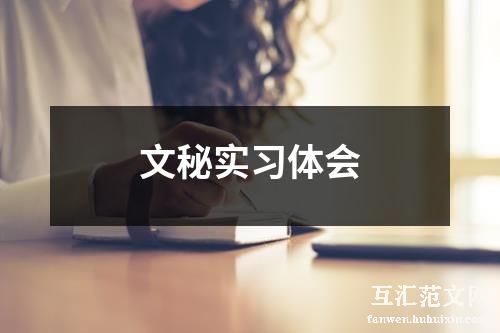 文秘实习体会