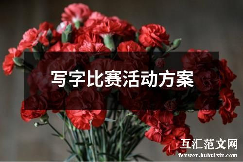 写字比赛活动方案